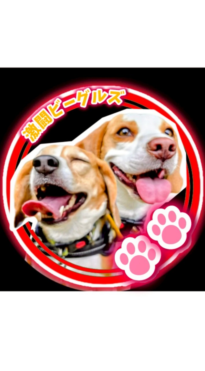適当ベーグルズ