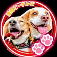 適当ベーグルズ