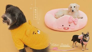 萊恩又出招！Kakao Friends推出寵物用品，衣服、睡墊通通都是萊恩，家中有毛小孩的萊恩教徒必收！