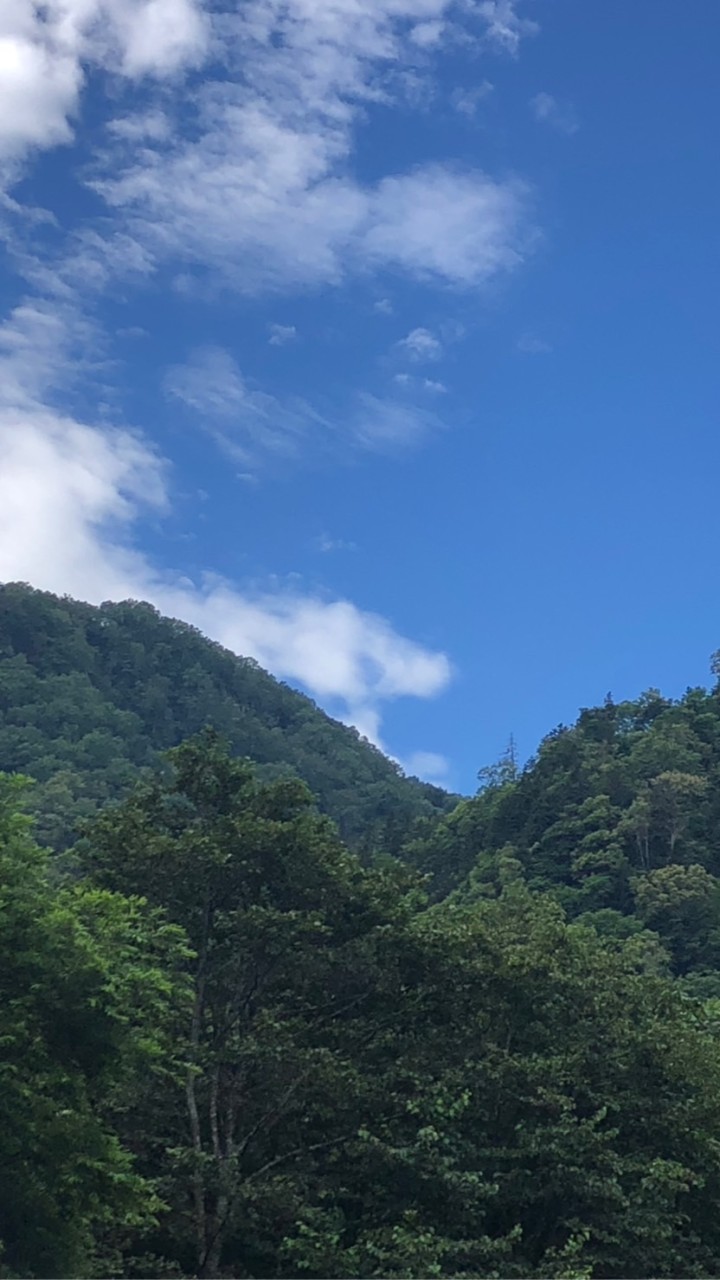 バカも天才も大歓迎 (雑談 勉強 恋バナなど)