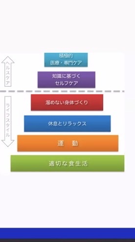doTERRAオタク🤓