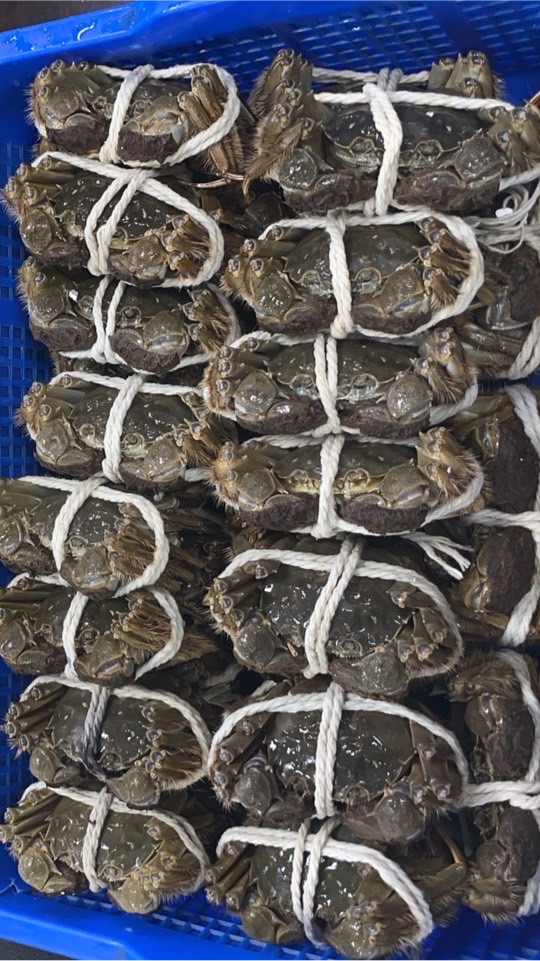 專售鮮果！螃蟹！龍蝦！泰國蝦！冷凍食品