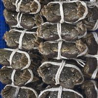 專售鮮果！螃蟹！龍蝦！泰國蝦！冷凍食品