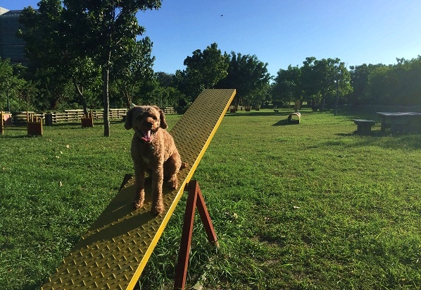 安平寵物公園