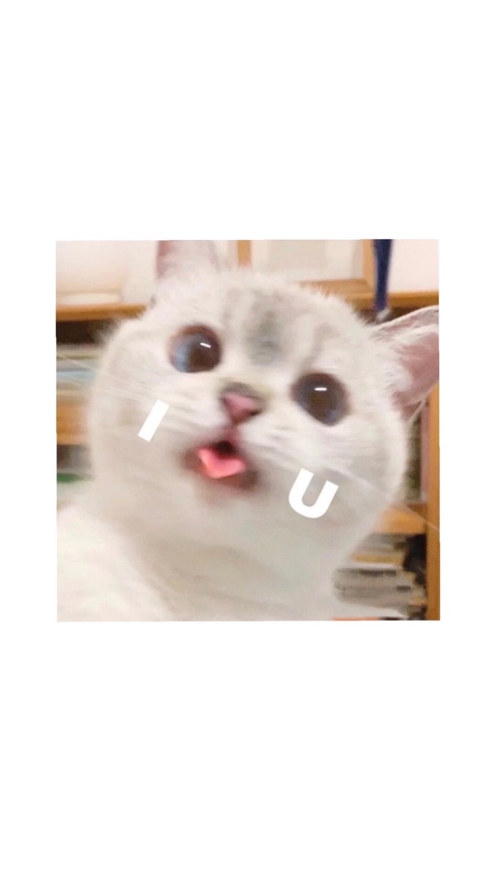喬薰の傳說群😎