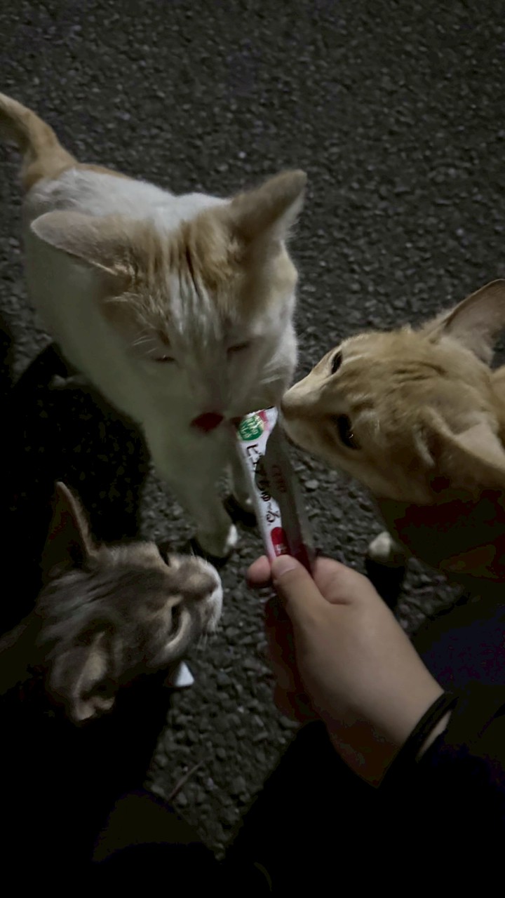 雑談わちゃわちゃルーム
