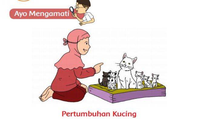 Kunci Jawaban Tema 1 Kelas 3 SD Halaman 109 110 111 114 115 