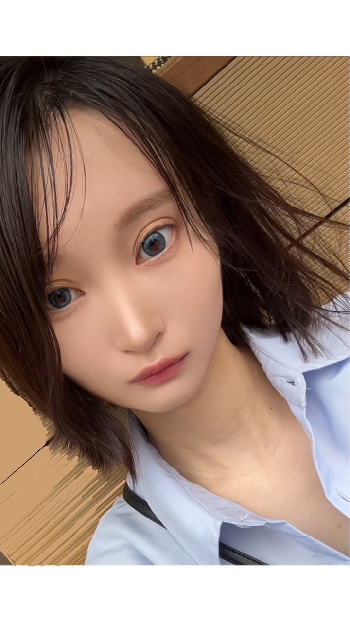 しぐまあきら商店