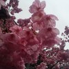 三重県45歳位からのお気楽部屋