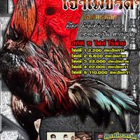 ซุ้ม ศ.อิสรา ไก่ชน