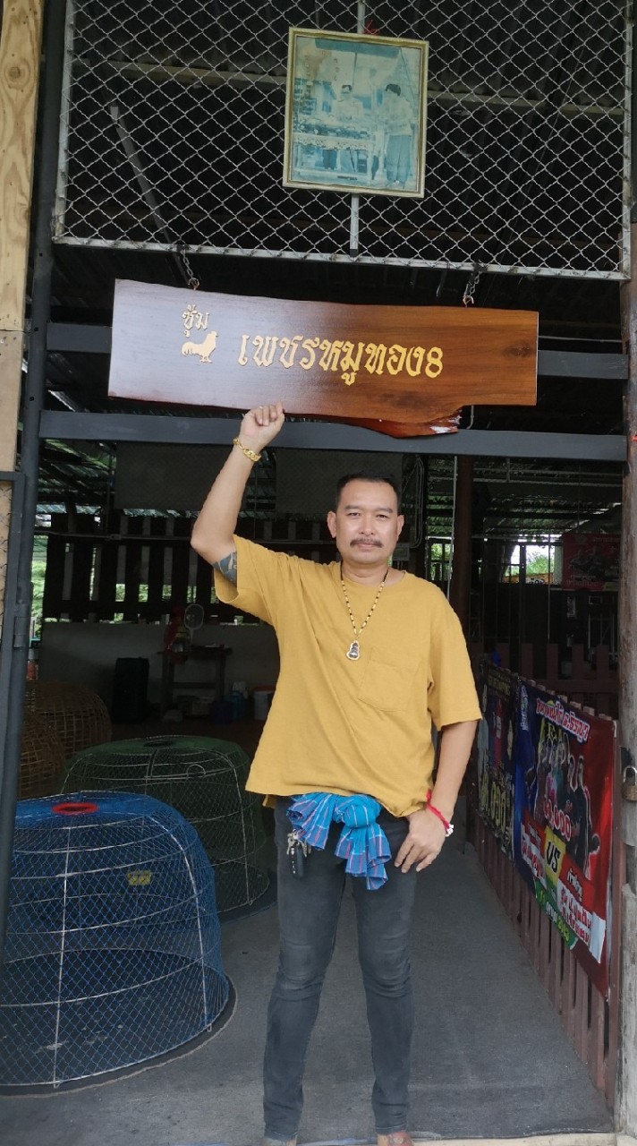 🐓ซุ้มเพชรหมูทอง8🐲 (ราชบุรี)​