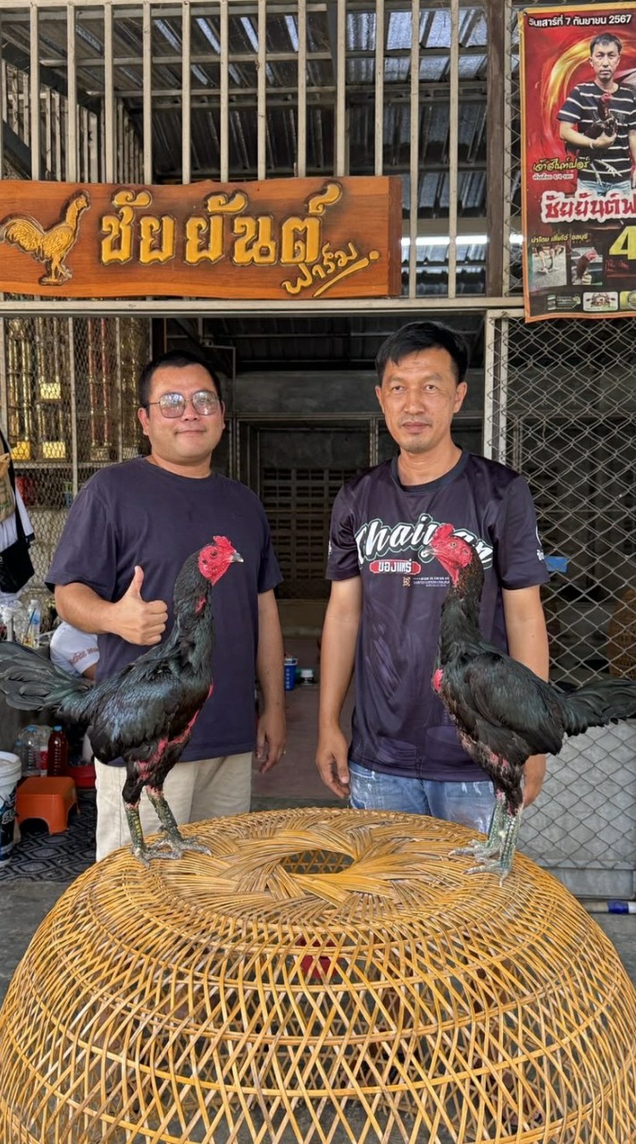 ติกอ่างทอง2