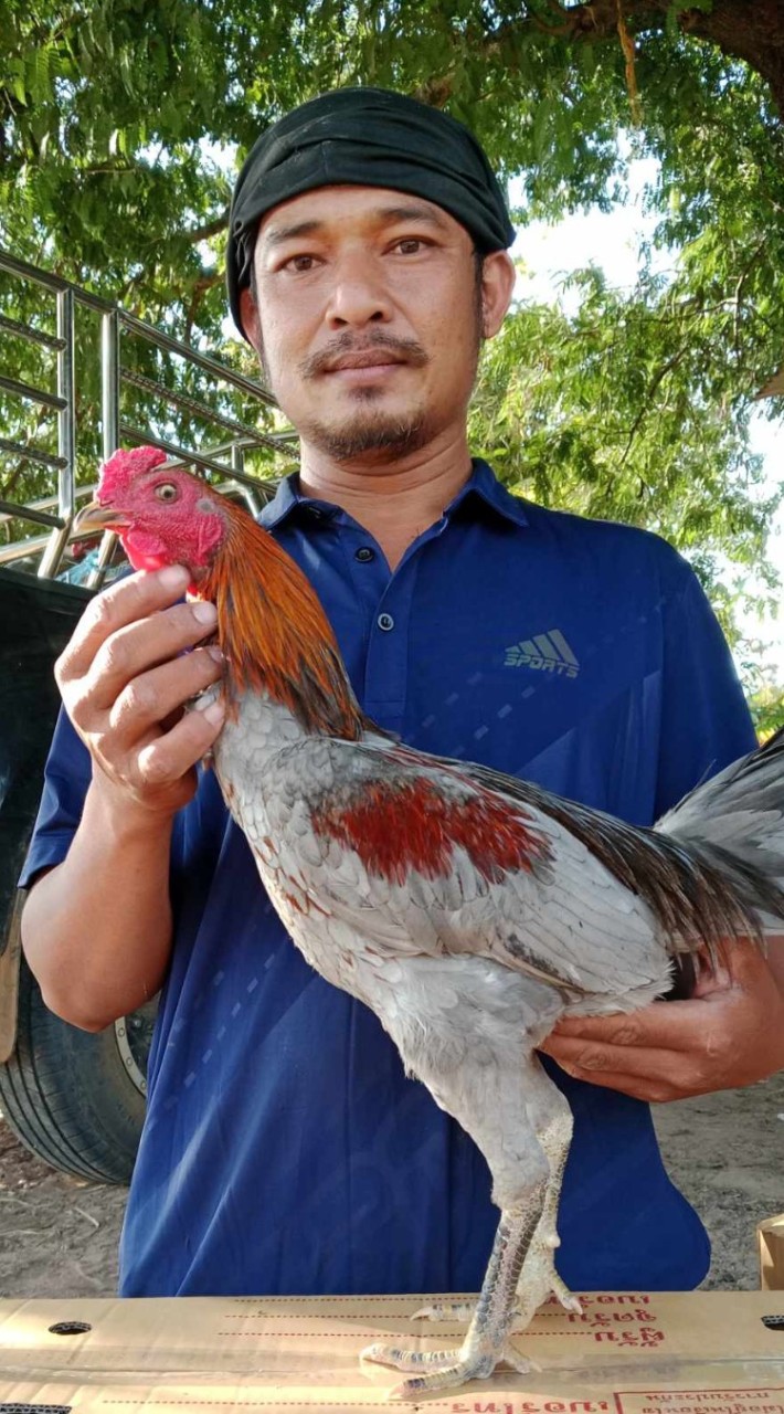 ซุ้ม เกษตรบิ้กหงา