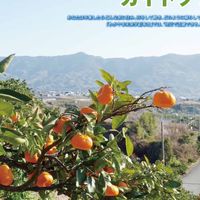わかやま未来学副専攻_卒業生