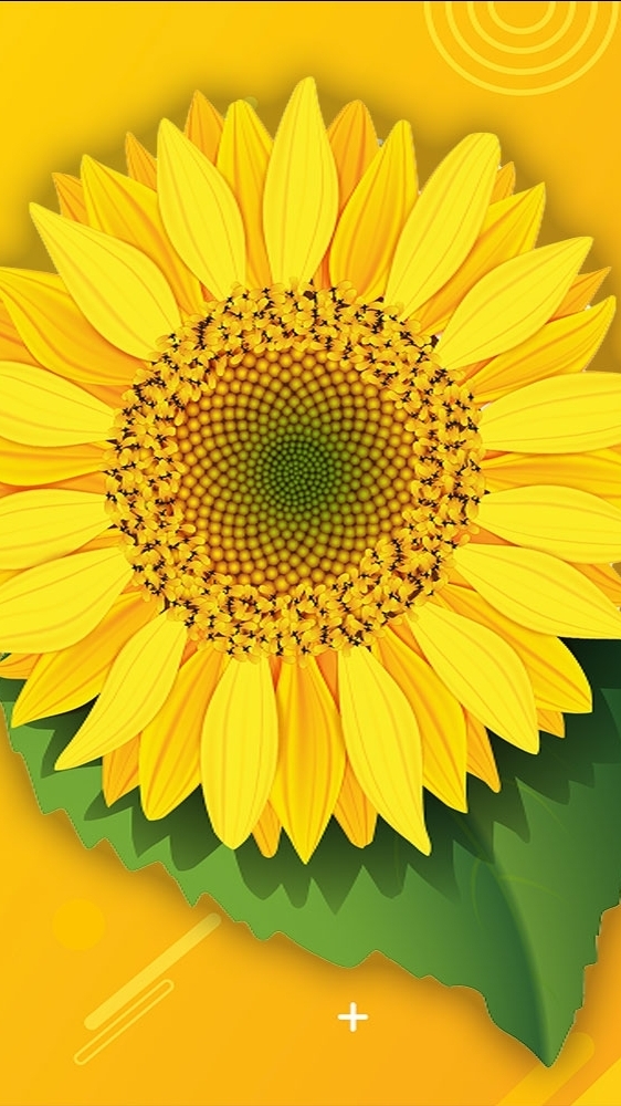 นายหน้าติดตะกร้า🌻Flower Food🌻