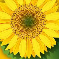 นายหน้าติดตะกร้า🌻Flower Food🌻