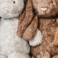 Jellycat絕版品分享交流