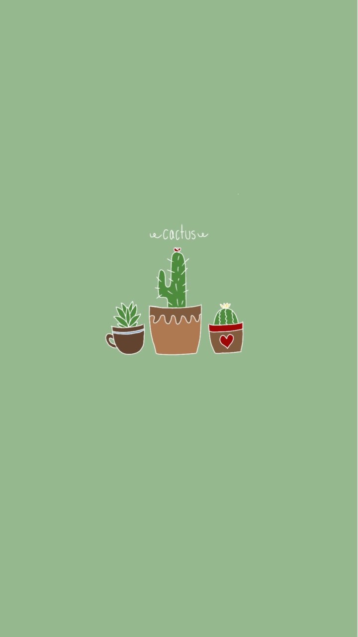 Achicactus🌵