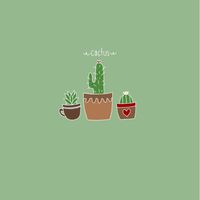 Achicactus🌵