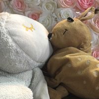玩偶國