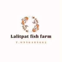 Lalitpat Fish Farm🐠
