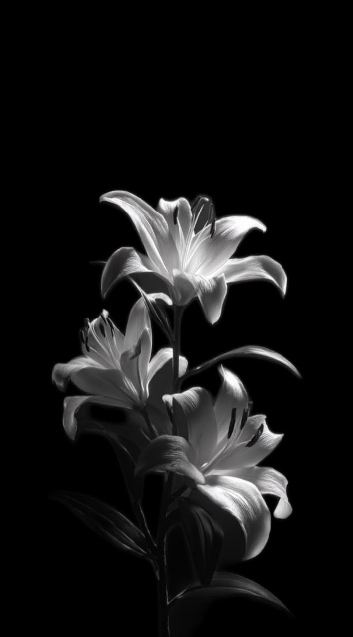 ว่าที่ปรึกษา💐