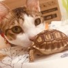 NB的陆🐢小天地💌💌