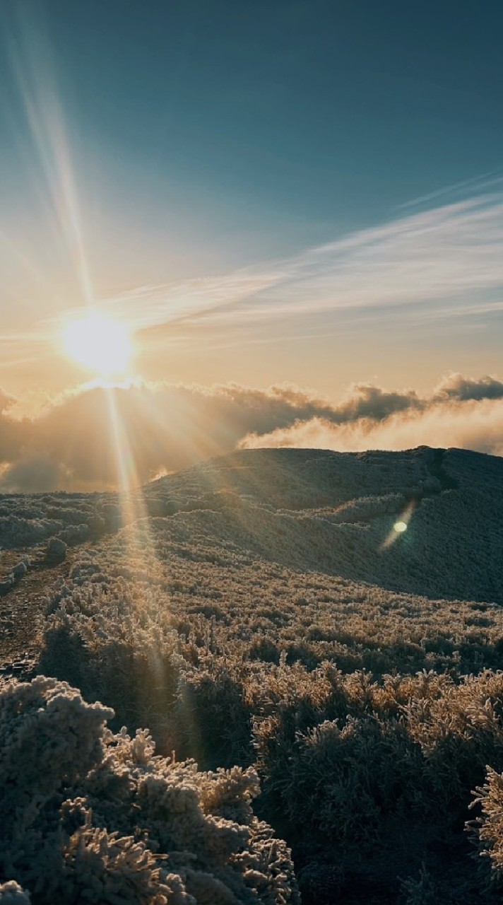 ⛰️百岳 郊山 縱走 自組團