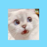 真理大學110新生