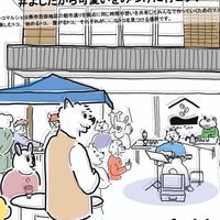 トコマルシェ