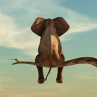 🐘大象家族🐘