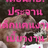 กลุ่มเช็คเครดิตผู้จ้างงานและลูกค้า
