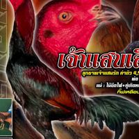 ซุ้มชนะพลฟาร์ม