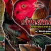 ซุ้มชนะพลฟาร์ม
