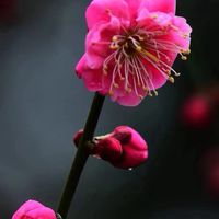 凝聚力