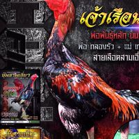 ซุ้ม เค.พี.เจริญทรัพย์