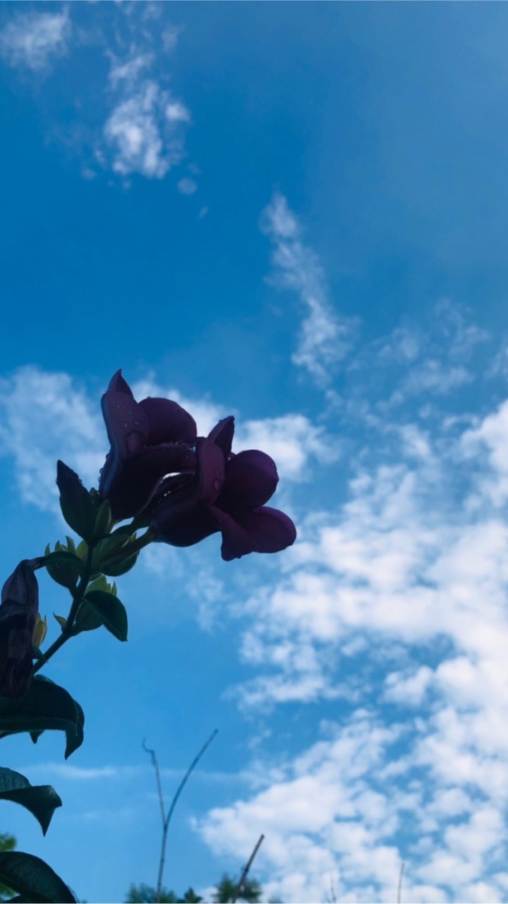 110幸福彩虹🌈家族