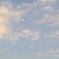 絵描くの好きな中学生集合！