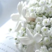 栃木県　結婚したいけど独身