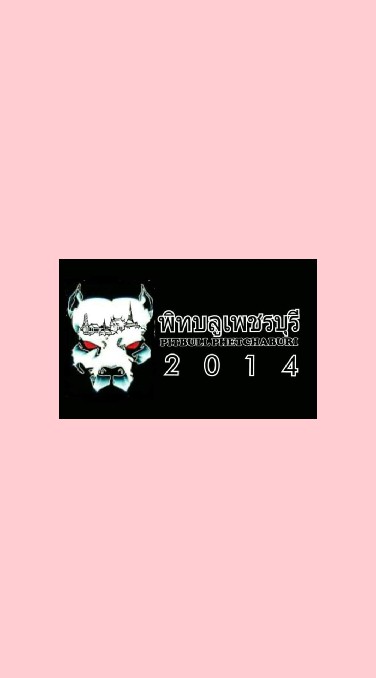 พิทบลู เพชรบุรี