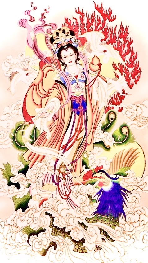 抖音功課群