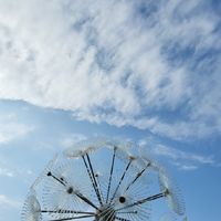 小芳衣櫥
