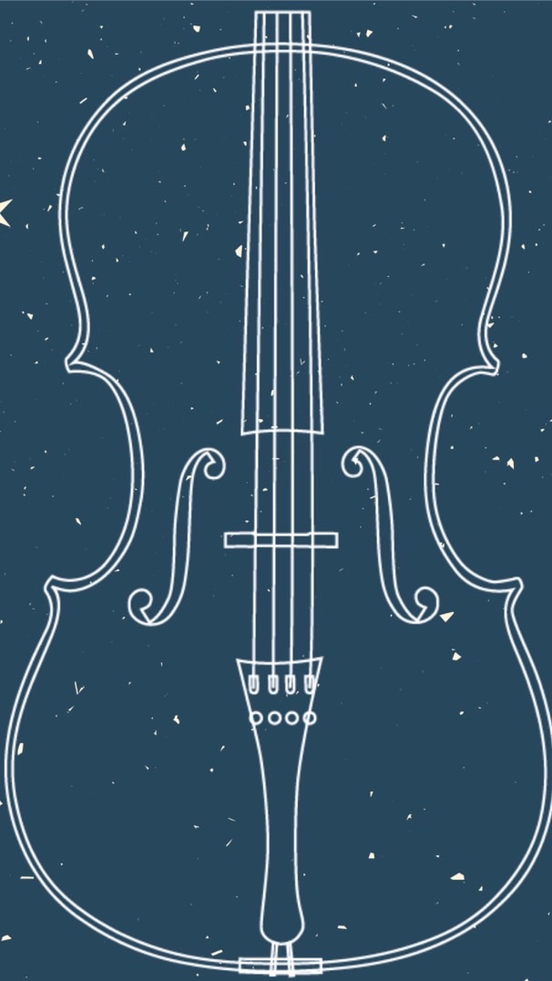 提琴,About Strings
