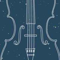 提琴,About Strings