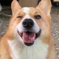 測試