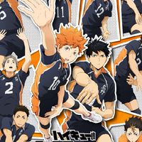 โรงเรียนมัธยมปลาย { Haikyuu!!! }