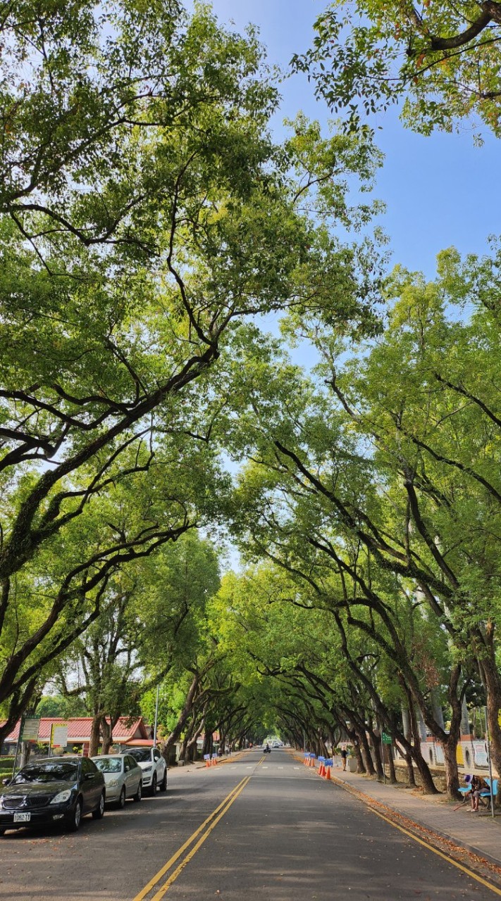 不分區單親.單身遊旅團