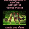 ตลาดไก่ชนออนไลน์ ซื้อขายผ่านบัญชีกลาง