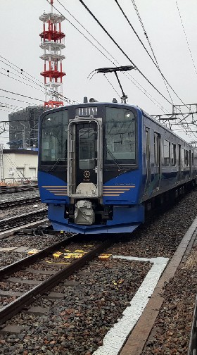 松井出没情報、追放チャット