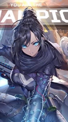 OpenChat APEX シルバー帯